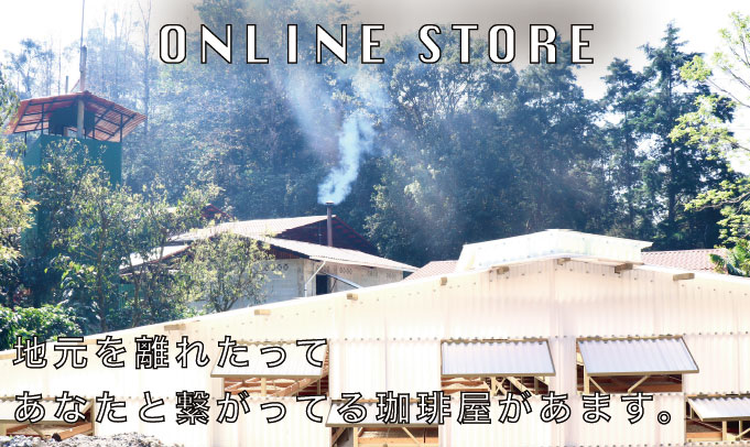 ONLINE STORE